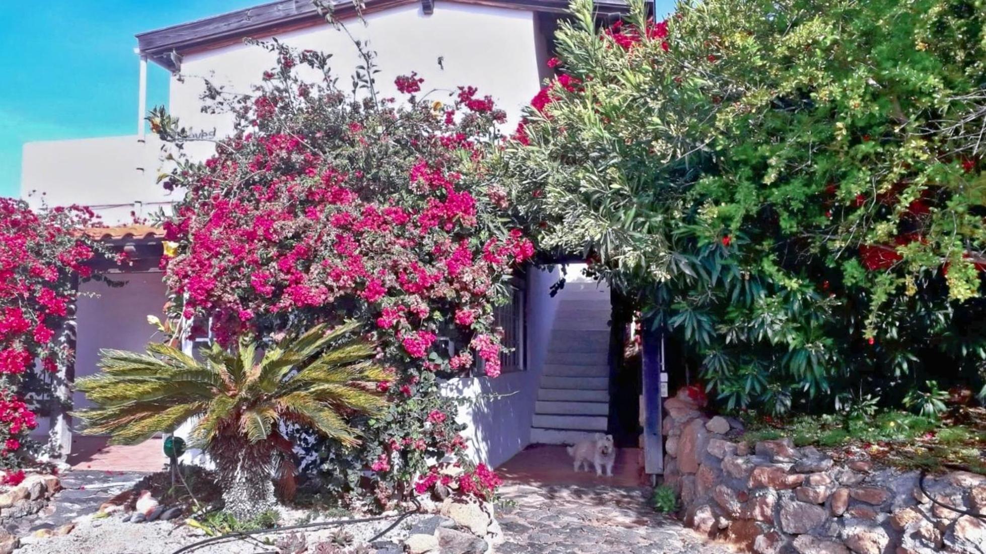 -Casa Azul-Arico Viejo La Sabinita - Baden, Wandern, Klettern, Individualurlaub Jenseits Des Massentourismus, Villa Bagian luar foto