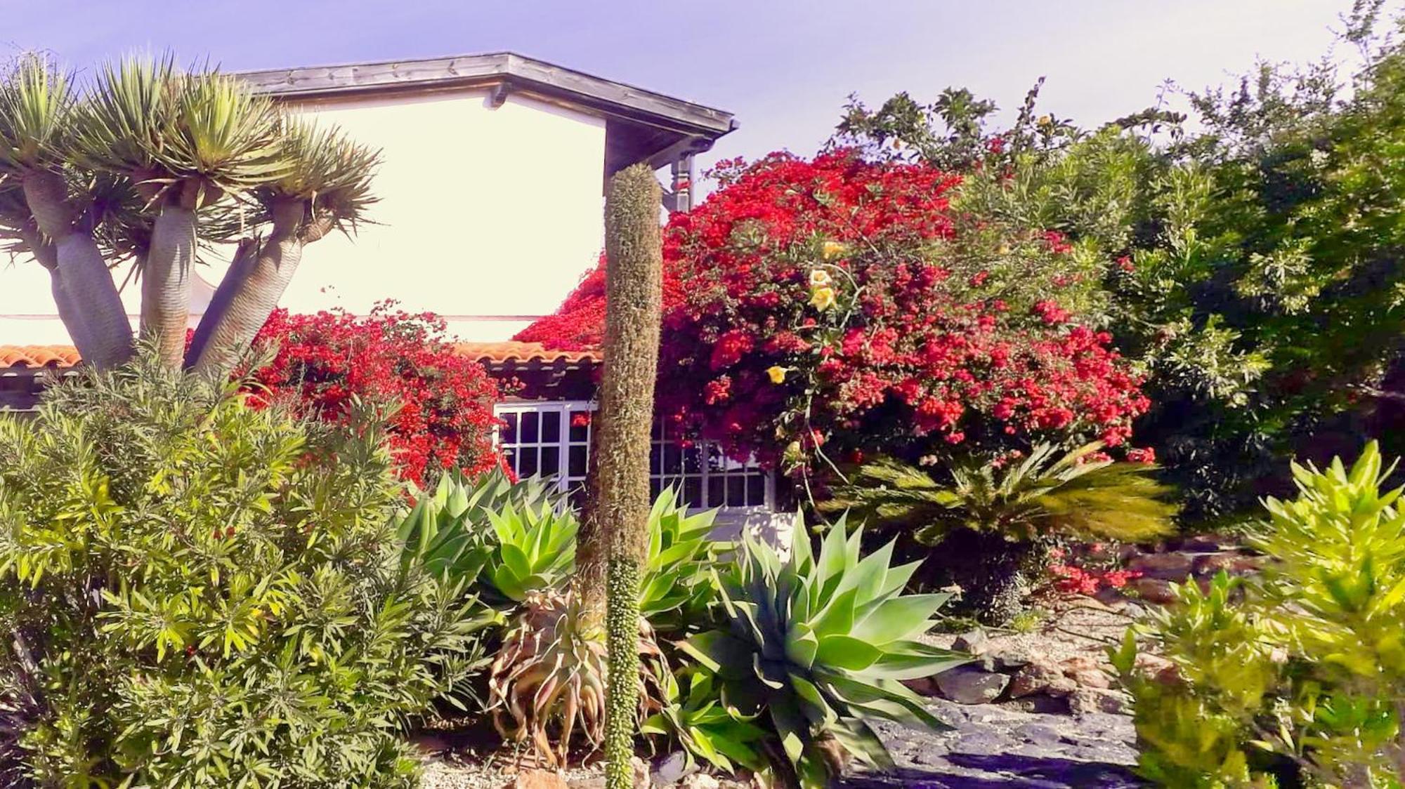 -Casa Azul-Arico Viejo La Sabinita - Baden, Wandern, Klettern, Individualurlaub Jenseits Des Massentourismus, Villa Bagian luar foto
