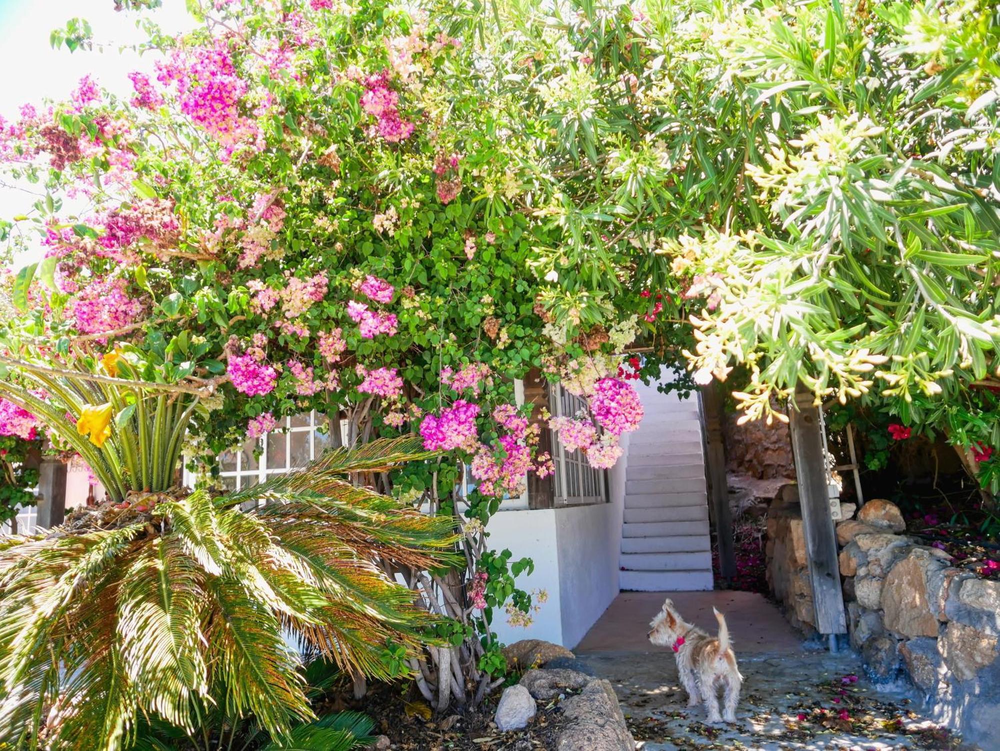 -Casa Azul-Arico Viejo La Sabinita - Baden, Wandern, Klettern, Individualurlaub Jenseits Des Massentourismus, Villa Bagian luar foto