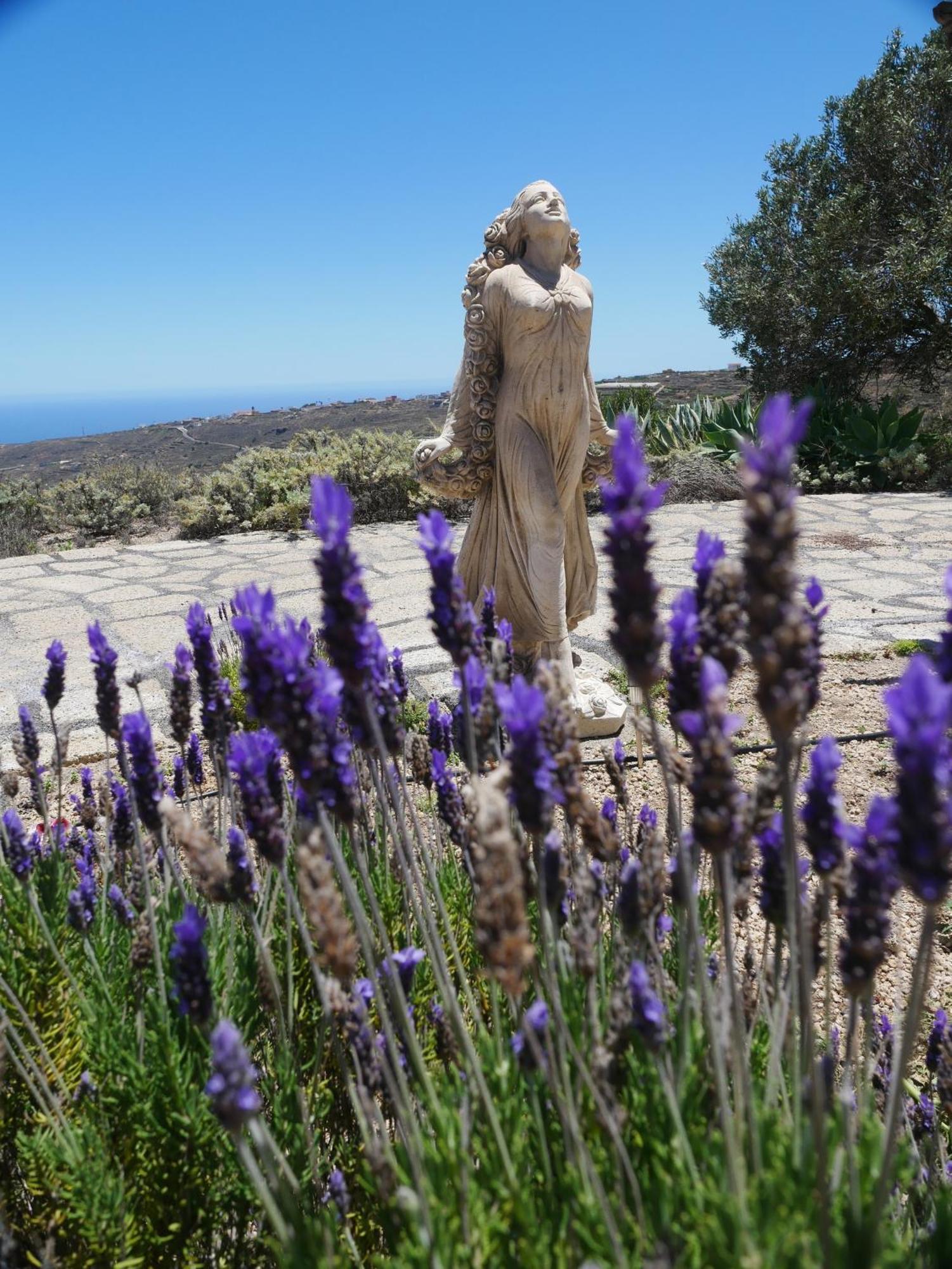 -Casa Azul-Arico Viejo La Sabinita - Baden, Wandern, Klettern, Individualurlaub Jenseits Des Massentourismus, Villa Bagian luar foto