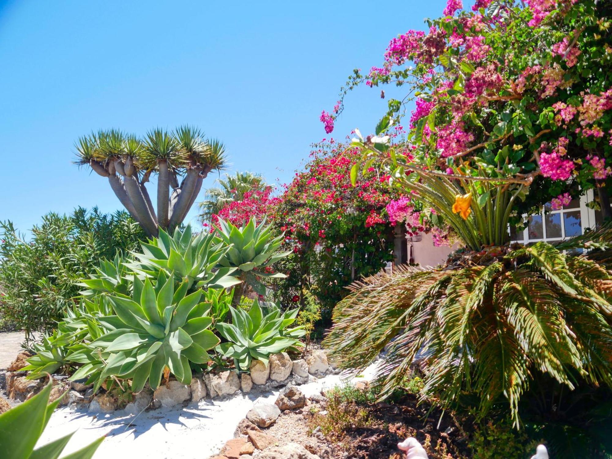 -Casa Azul-Arico Viejo La Sabinita - Baden, Wandern, Klettern, Individualurlaub Jenseits Des Massentourismus, Villa Bagian luar foto