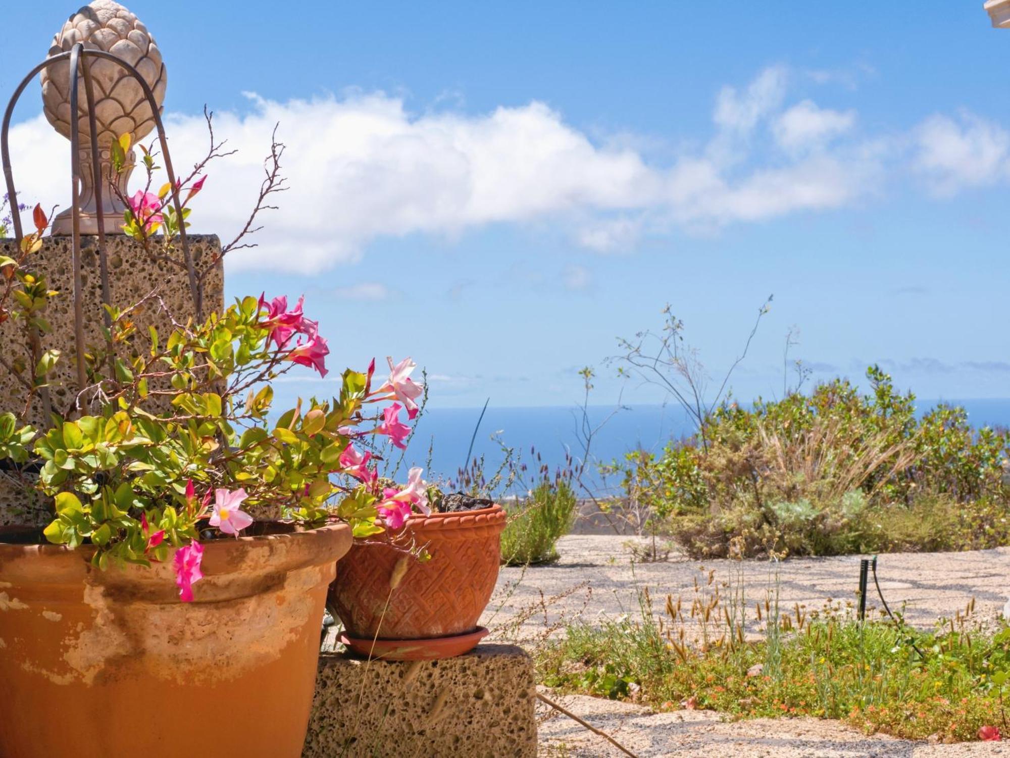 -Casa Azul-Arico Viejo La Sabinita - Baden, Wandern, Klettern, Individualurlaub Jenseits Des Massentourismus, Villa Bagian luar foto